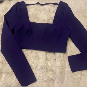 Zara Purple Long Sleeve Crop Top